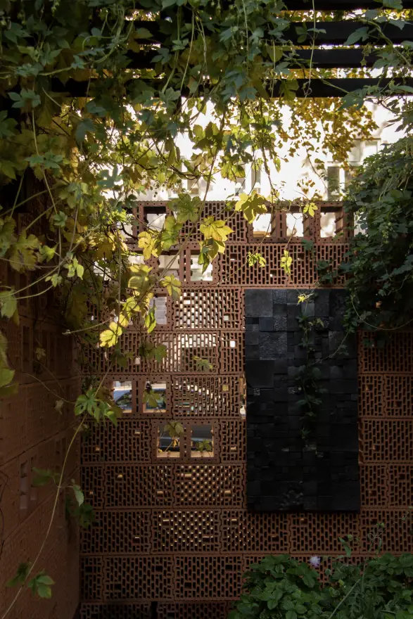 A view from inside a brick outdoor structure. The structure is covered with climbing plants.