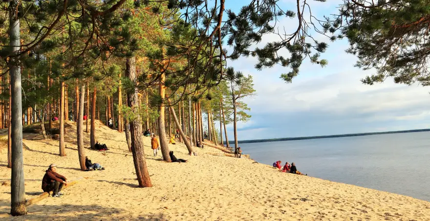 A group of people on a summery sandy beach in a pine forest by the sea.